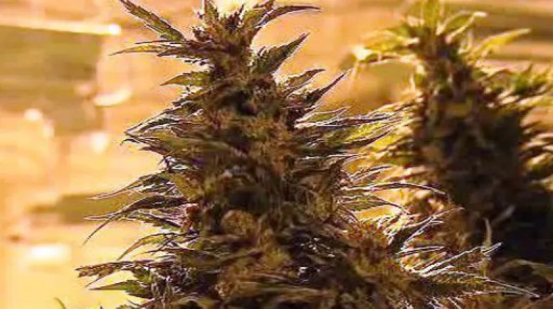 Jakub Frydrych a Pavel Hoffman ve Stuidiu ČT24