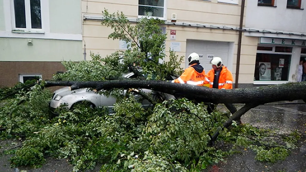 Hasiči odstraňují větve z vozu po bouřce
