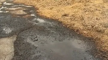 Hnojiště