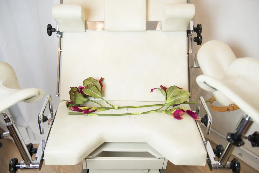 Během jejich společných schůzek se autorka dokumentu dozvěděla, že lékaři u Gabi našli výjimečnou anomálii. Její orgány nesou různé genetické informace, jak mužské, tak i ženské