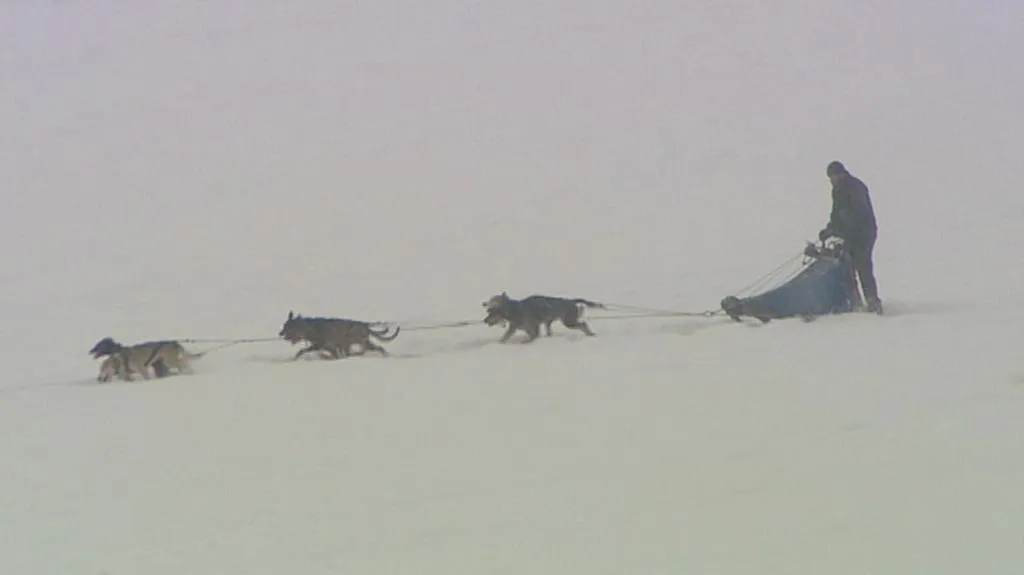 Musher