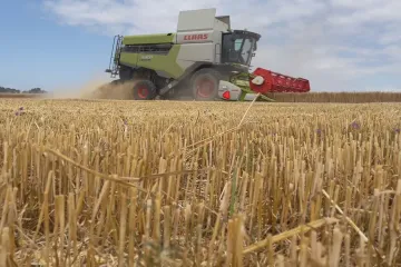 Sklizeň obilovin bude nižší než loni, očekávají statistici. Zemědělci jsou optimističtější