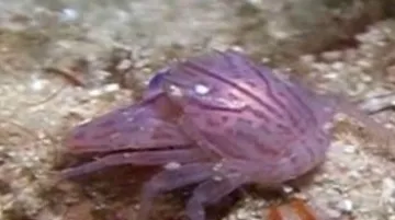 Voda, moře, oceány