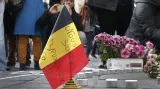 Pieta v Bruselu