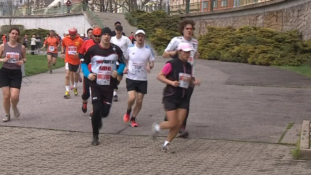 Brněnský půlmaraton 2013