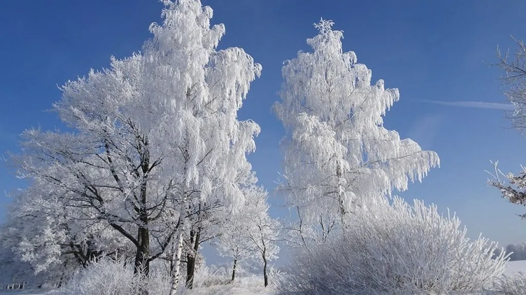 Novohradské hory