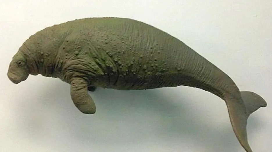 Model korouna
