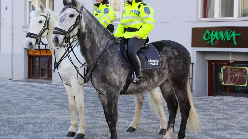 Každá obec si může zřídit svou policii