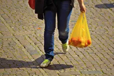 Nejekologičtější nákupní taška není bavlněná, popsala rozsáhlá česká studie