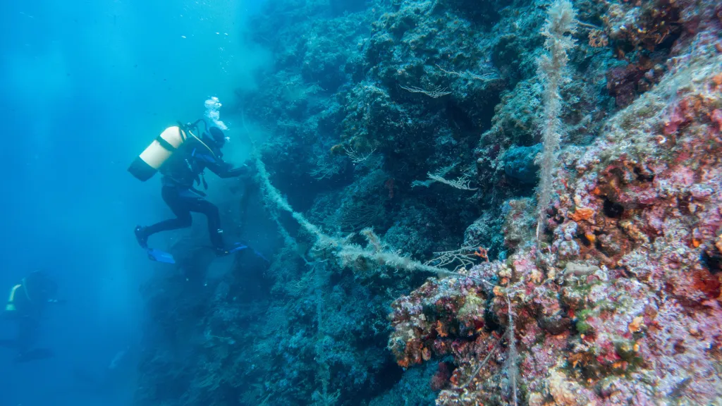 Chorvatští potápěči zbavovali mořské dno starých rybářských sítí
