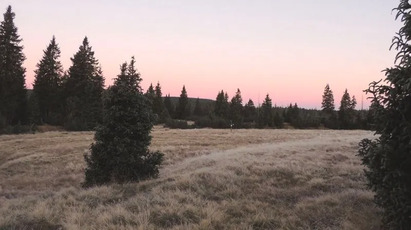 Jizerka-Rašeliniště