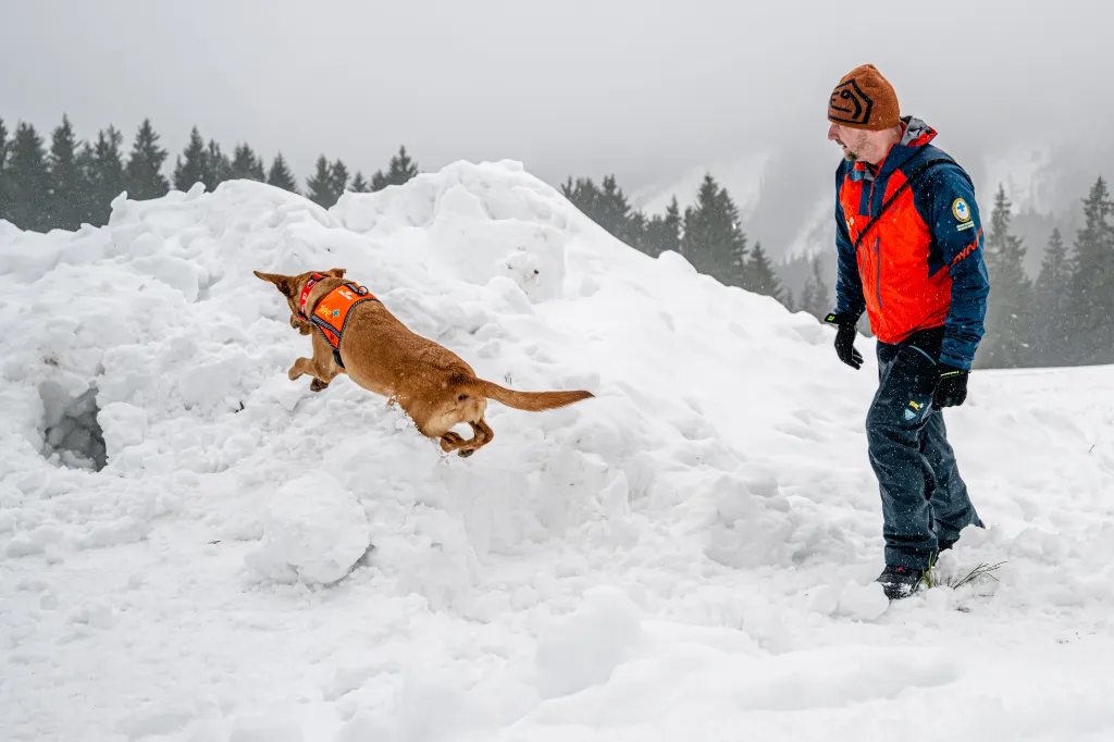Záchranáři se psy nacvičují v Krkonoších záchranu z lavin