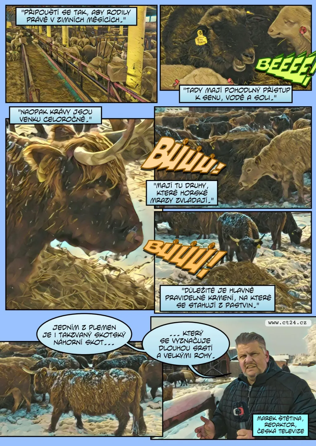 Farmáři chrání zvířata před mrazy