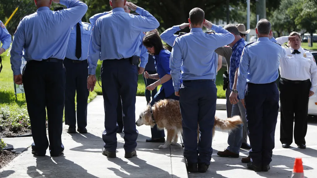 Poslední cesta fenky Bretagne