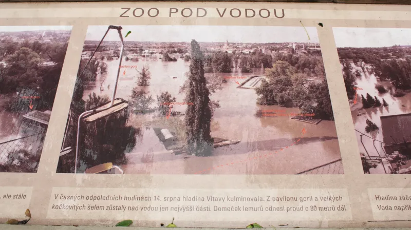 Fotografie zatopené pražské zoo v roce 2002