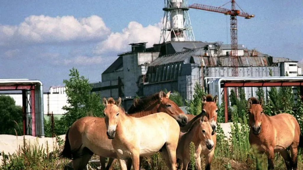 Fotografie Václava Vašků