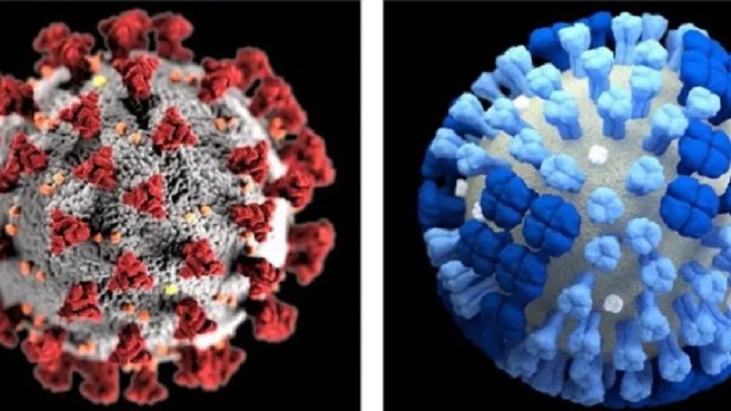 Srovnání nového koronaviru (vlevo) a chřipkového viru (vpravo)