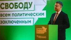Šéf ruské opoziční strany Jabloko Nikolaj Rybakov