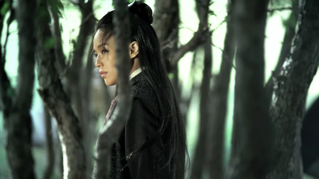 Assassin (2015, režie: Siao-sien Chou)