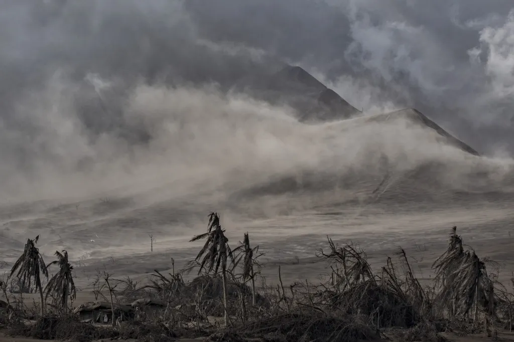 Nominace v sekci Příroda: Ezra Acayan se sérií snímků Taal Volcano Eruption (Erupce sopky Taal). Fotograf zachytil výbuch na ostrově Luzon na Filipínách. Dle vládních činitelů bylo následky po erupci sopky postiženo 750 tisíc osob