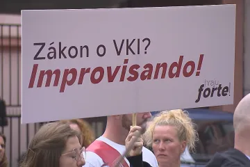 Nenechme kulturu utichnout, žádá nová iniciativa vládu. Problém jsou peníze