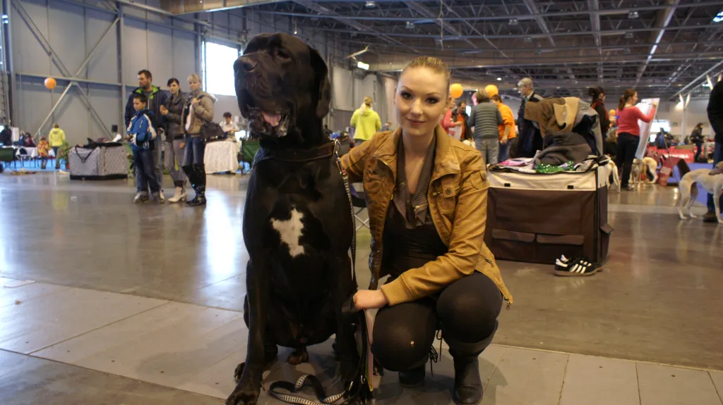 Z mezinárodní výstavy psů v Brně