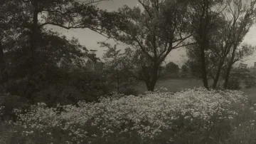 Josef Sudek, Od Kopist k chemičce, 1961