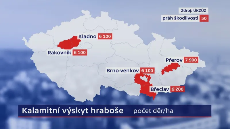 Kalamitní výskyt hraboše