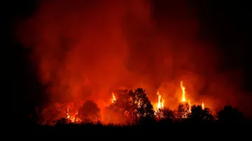 Lesní požár u španělského města Zamora. Foceno 13. srpna 2025