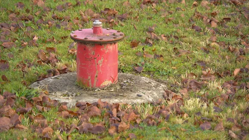 Vrt v areálu bývalého Narexu