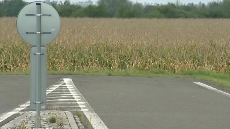 Kvůli křečkovi je strategická silnice na Slovensko zatím nedostavěná