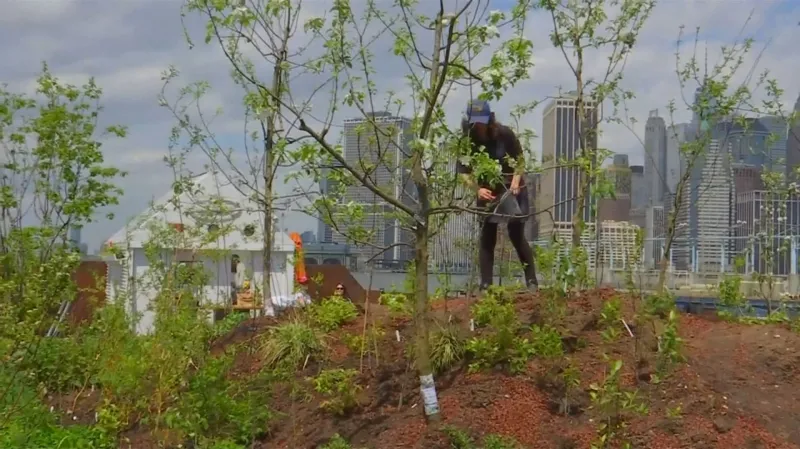 Plovoucí zahrada na Hudsonu