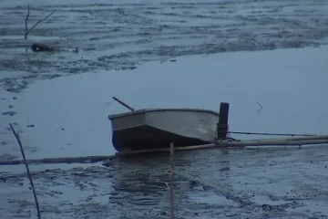 Rybáři hlídají ryby i v noci. Pytláci nezahálejí