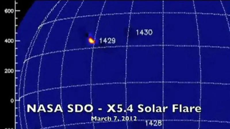 Rozhovor s Janem Šifnerem