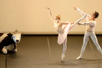 Barankiewiczovo baletní entrée: Vyváženost a profesionalita