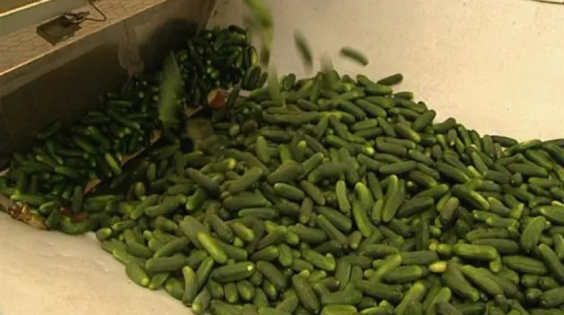 Rozhovor s ředitelem firmy Country Life