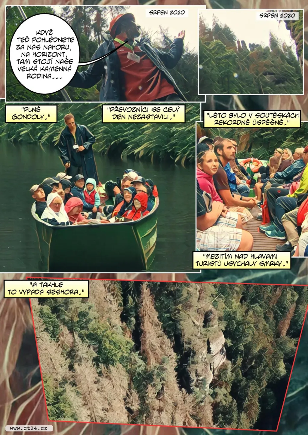 Kůrovec v Českém Švýcarsku