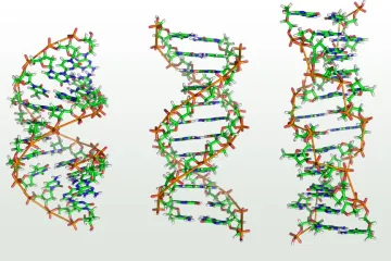 I drobná mutace genu je důležitá pro volbu léčby rakoviny, zjistili brněnští vědci
