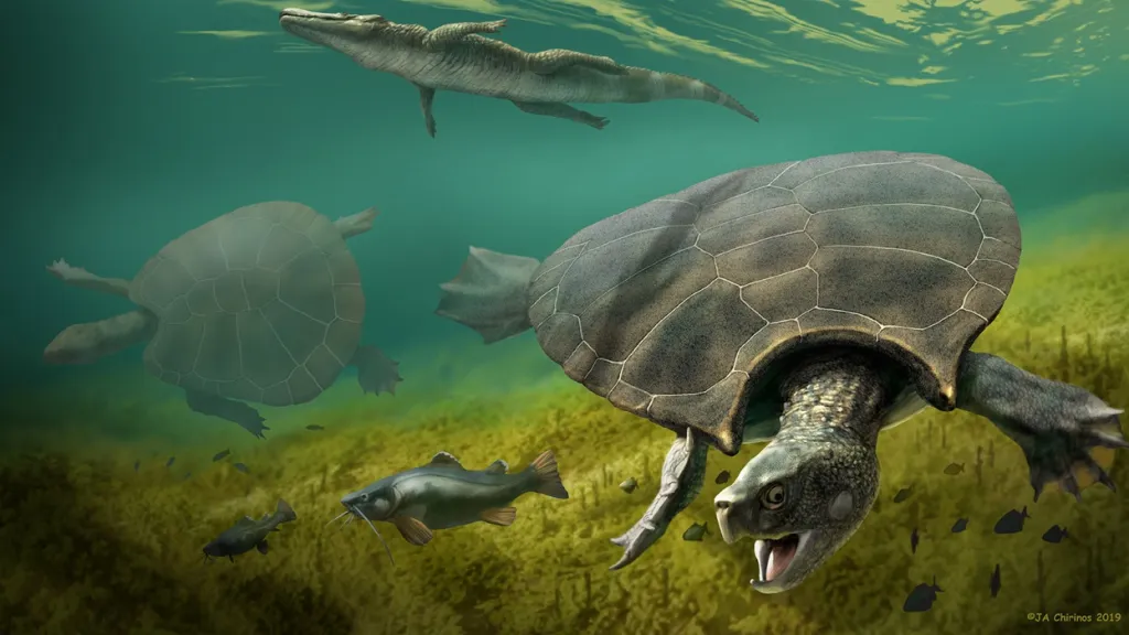 Stupendemys geographicus