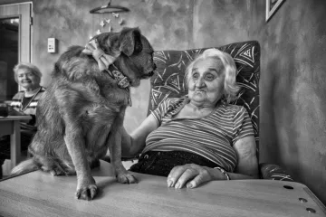 Každodenní život a portréty na Czech Press Photo 2019 zahrnují i canisterapii a průtrž mračen