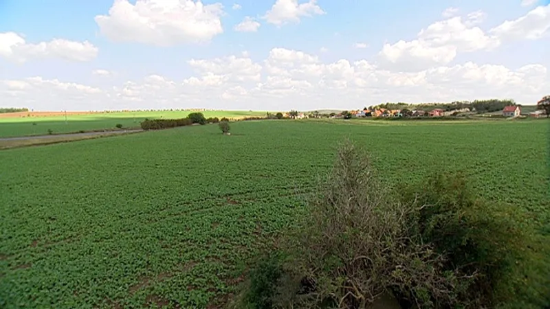 Změny územního plánu se nelíbí vinařům v Šaldorfu