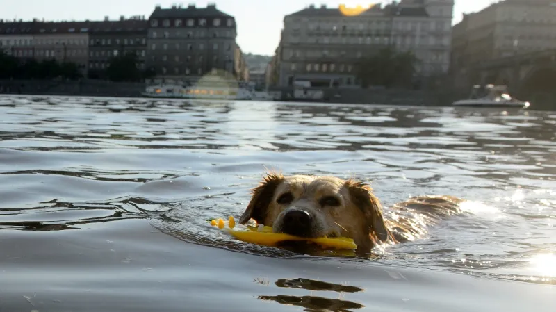 Česko zasáhla vlna veder
