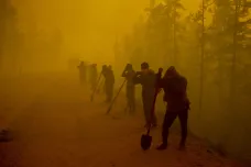 Loni hořely světové lesy téměř nejvíc v historii. Nejhůř dopadly ty ruské