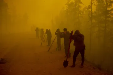 Loni hořely světové lesy téměř nejvíc v historii. Nejhůř dopadly ty ruské