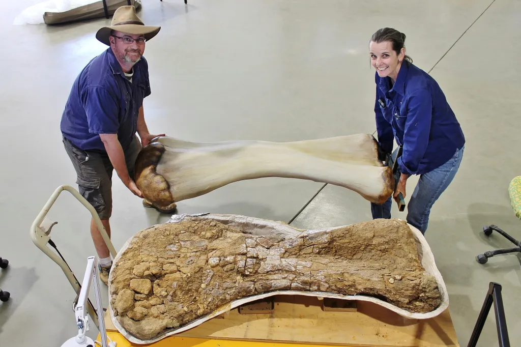 Dr. Scott Hocknull a Robyn Mackenzie pózují s 3D rekonstrukcí stehení kosti Australotitana cooperensis. Jde o nový druh dinosaura objeveného v Queenslandu. Byl uznán za největšího sauropoda Austrálie