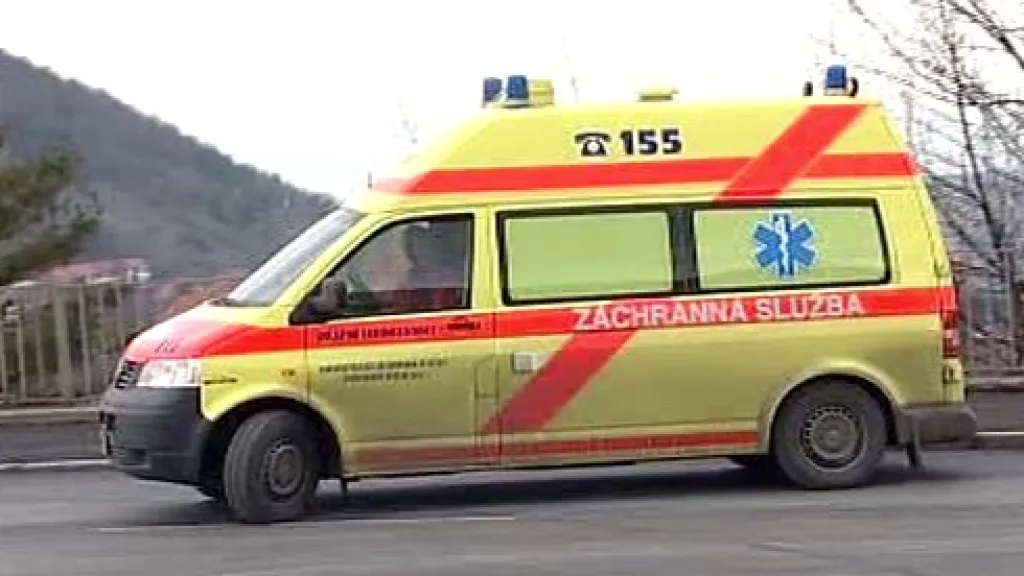 Sanitka