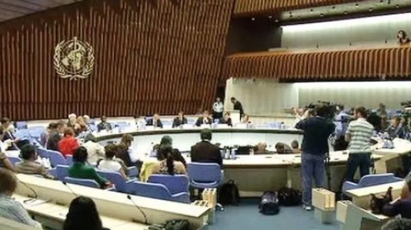 Brífink WHO k vyhlášení pandemie mexické chřipky