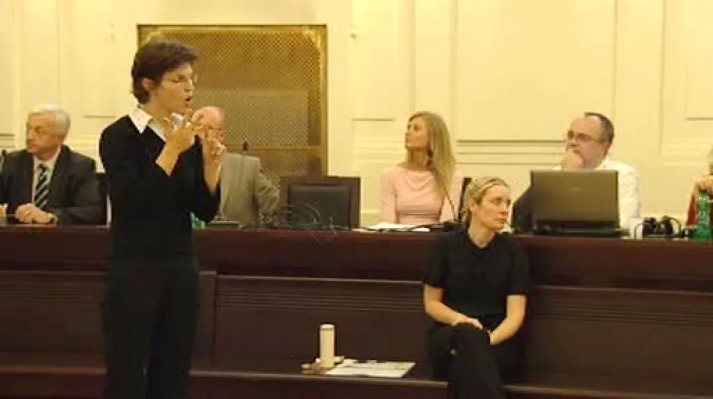 Tlumočení do znakové řeči