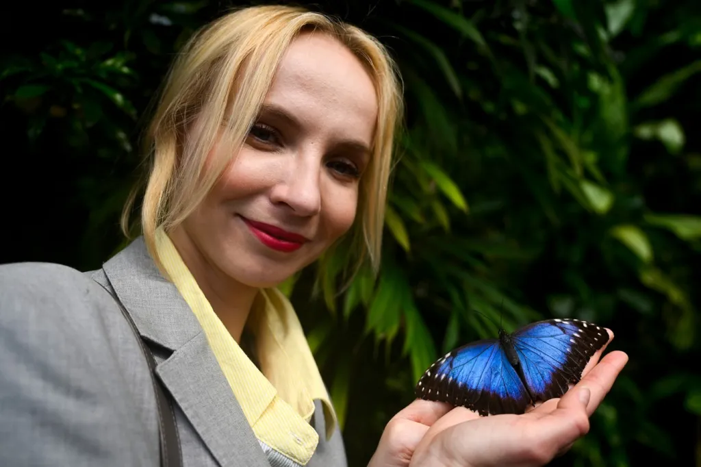 Výstava motýlů v botanické zahradě