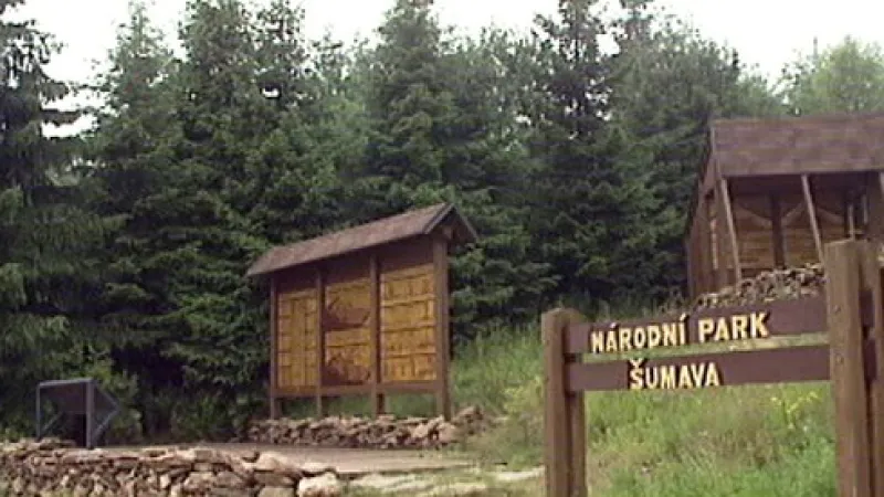 Národní park Šumava